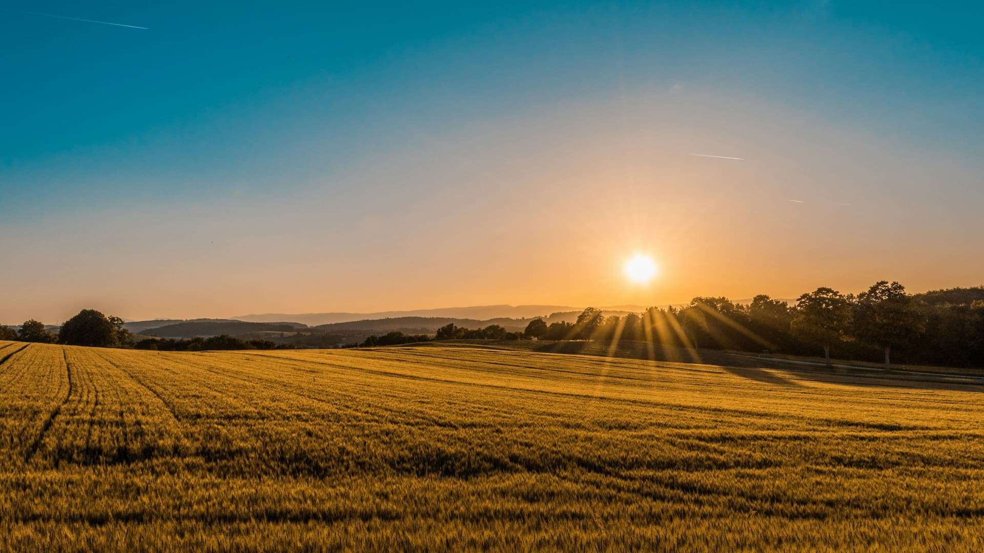 Farm field landscape